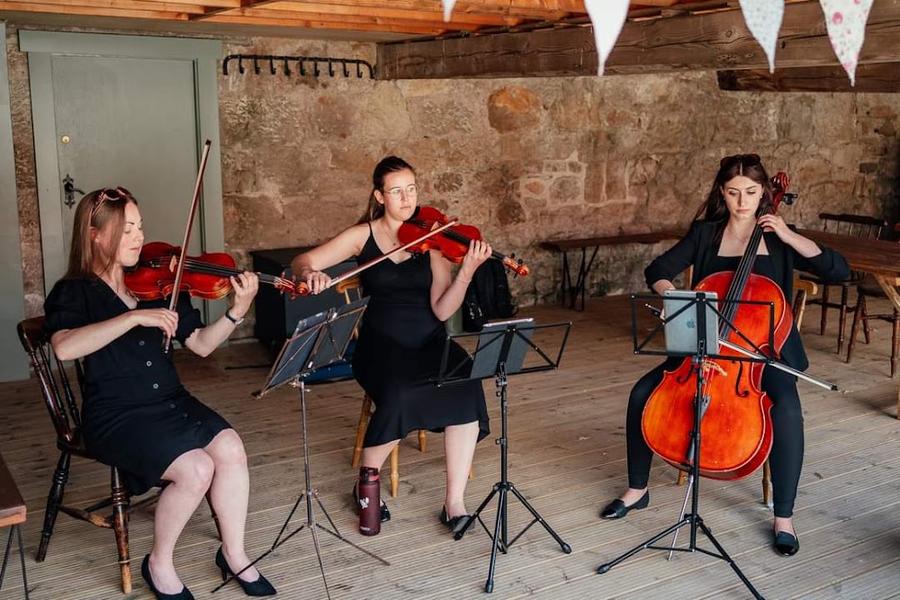Arta String Quartet