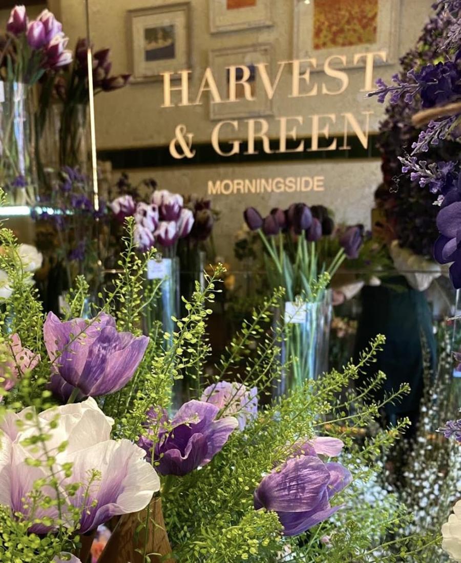 Harvest and Green
