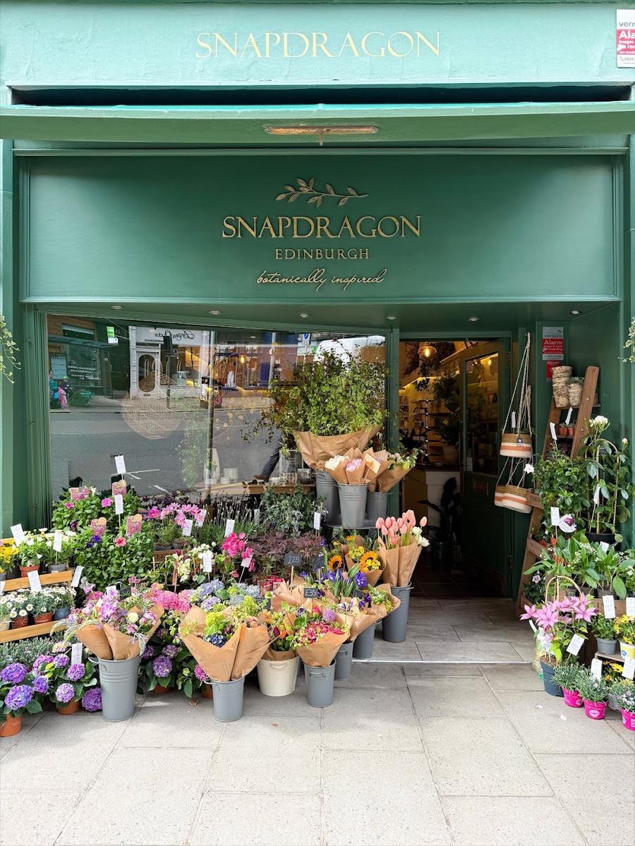 Snapdragon Edinburgh Florist