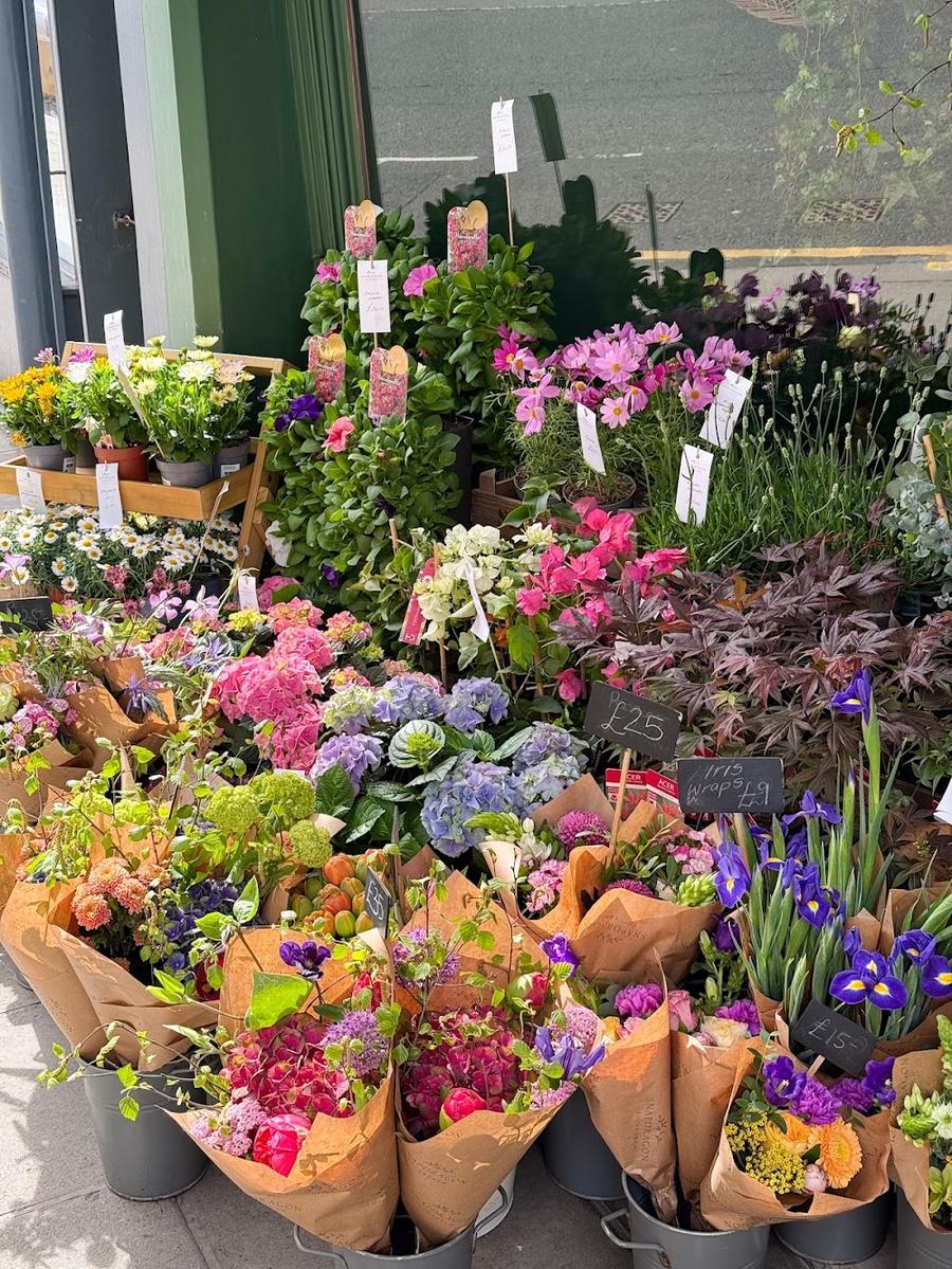 Snapdragon Edinburgh Florist