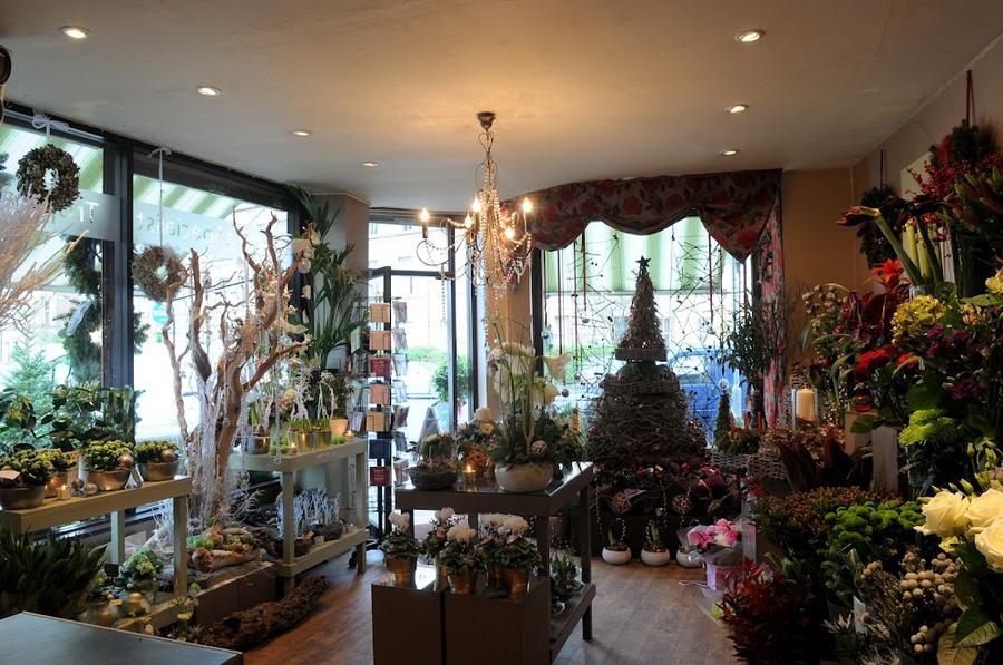 Floral Haven