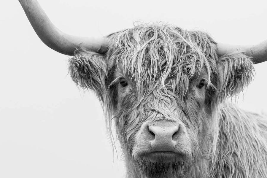 Penny Hardie Photography