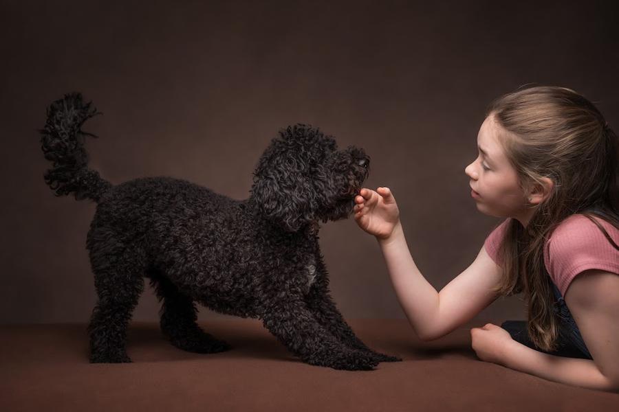 A-Fotografy Photography Studio
